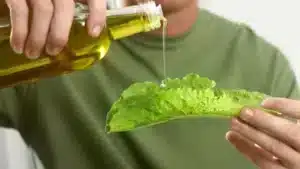 valor nutricional del aceite de oliva virgen extra