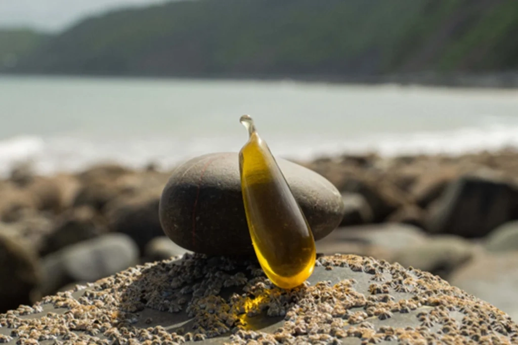 Aceite de oliva envasado en algas virgen extra