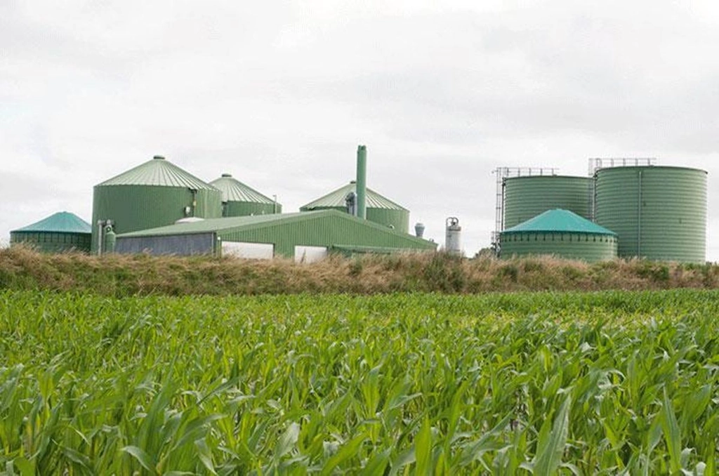 AOVE: Bioproductos y Combustible Limpio