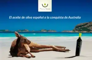 AOVE: Aceite de oliva de Australia