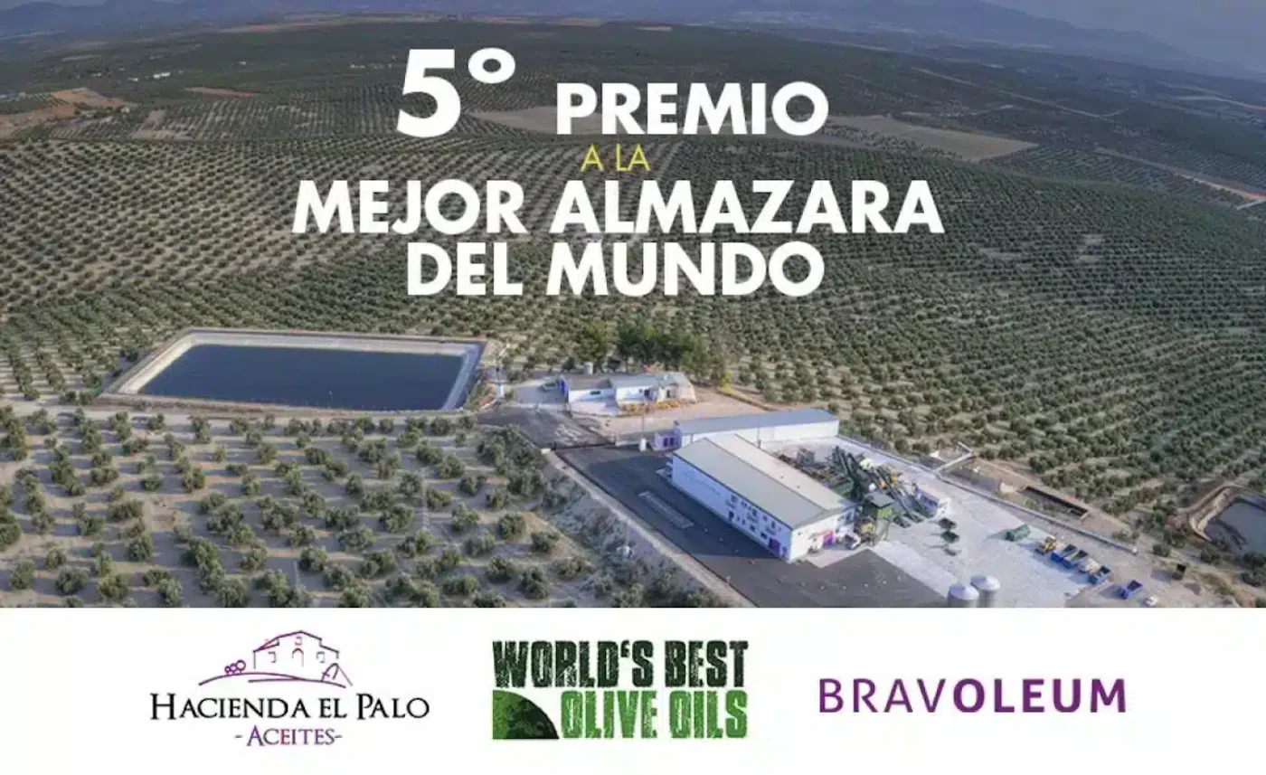 comprar aove de las mejores almazaras