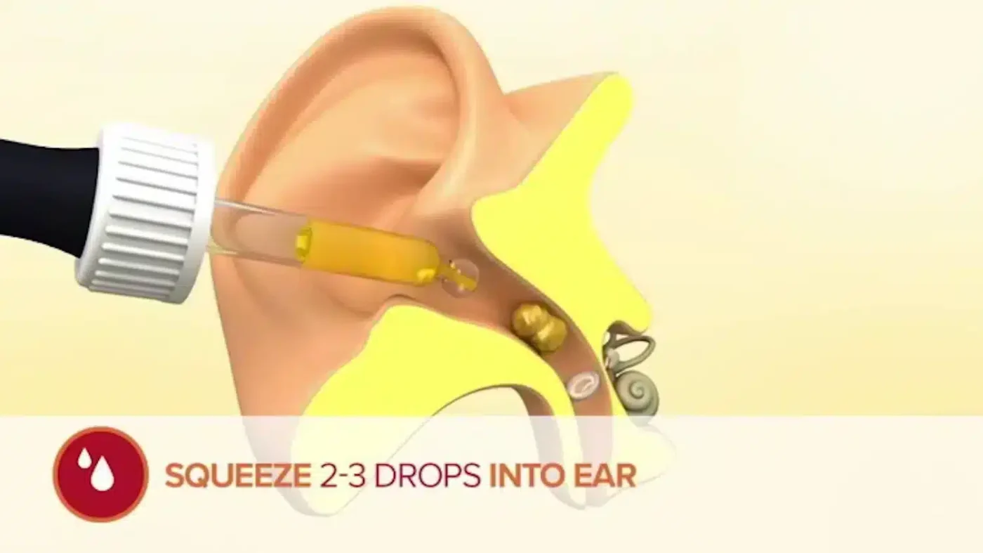 extra virgin olive oil in ear