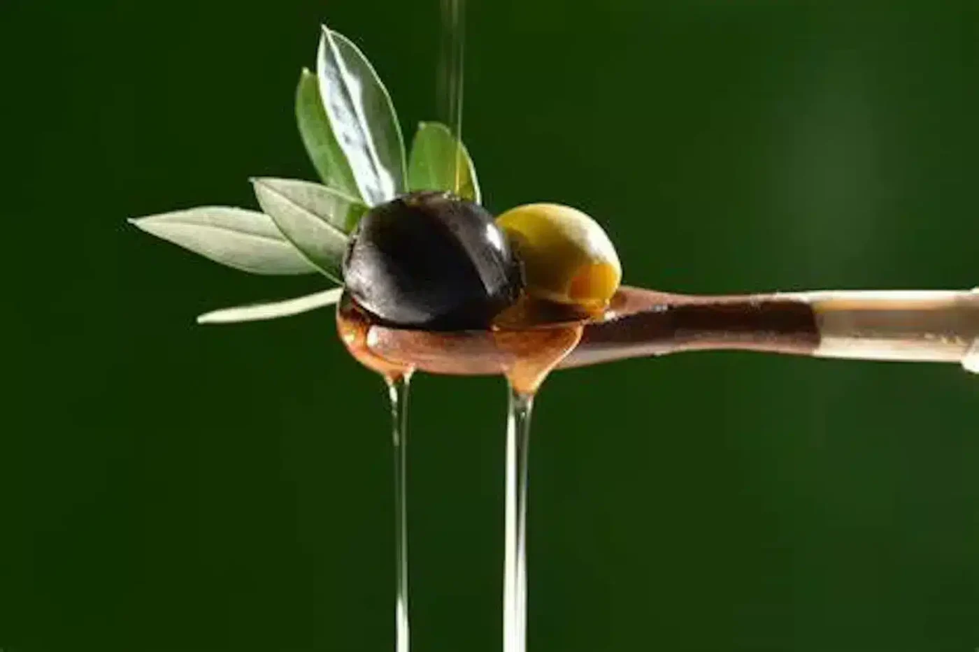 polifenoles del aceite de oliva virgen extra