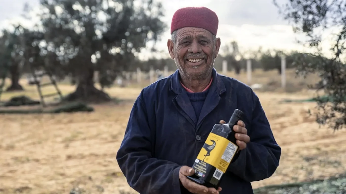 AOVE: Aceite de Oliva de Túnez