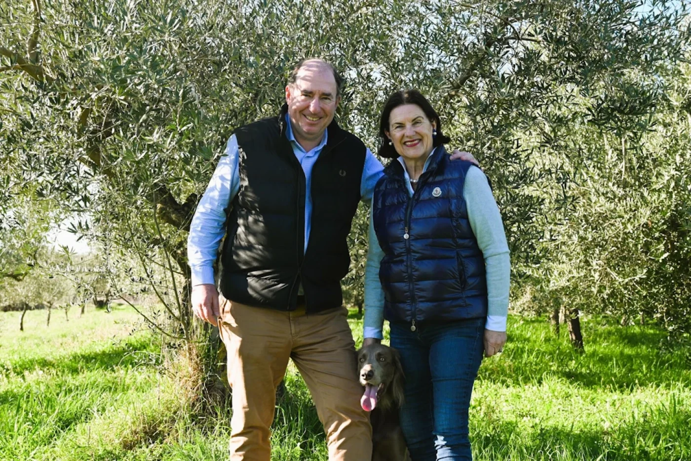 Avistria aceite de oliva de Austria Avistria aceite de oliva virgen extra de Austria