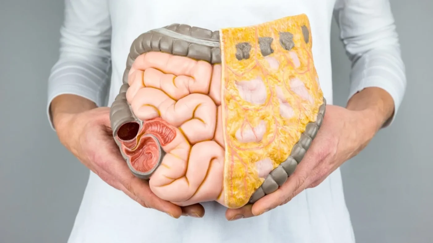 Combatir la grasa visceral con aceite de oliva virgen extra