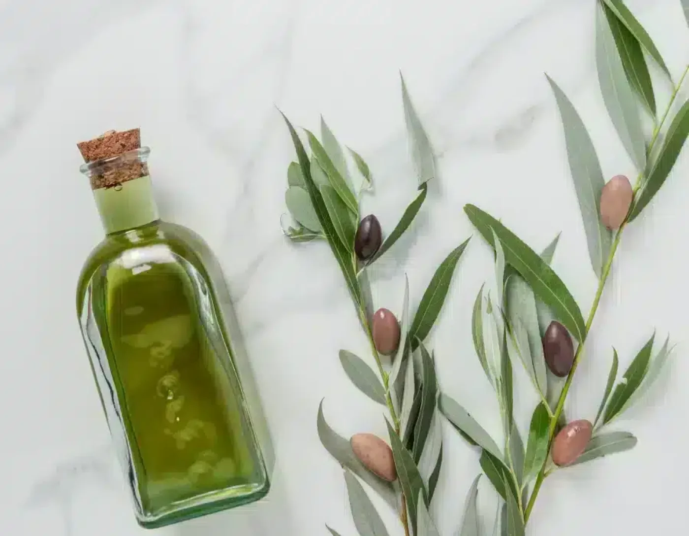 EVOO und Hydroxytyrosol im Kampf gegen Darmkrebs