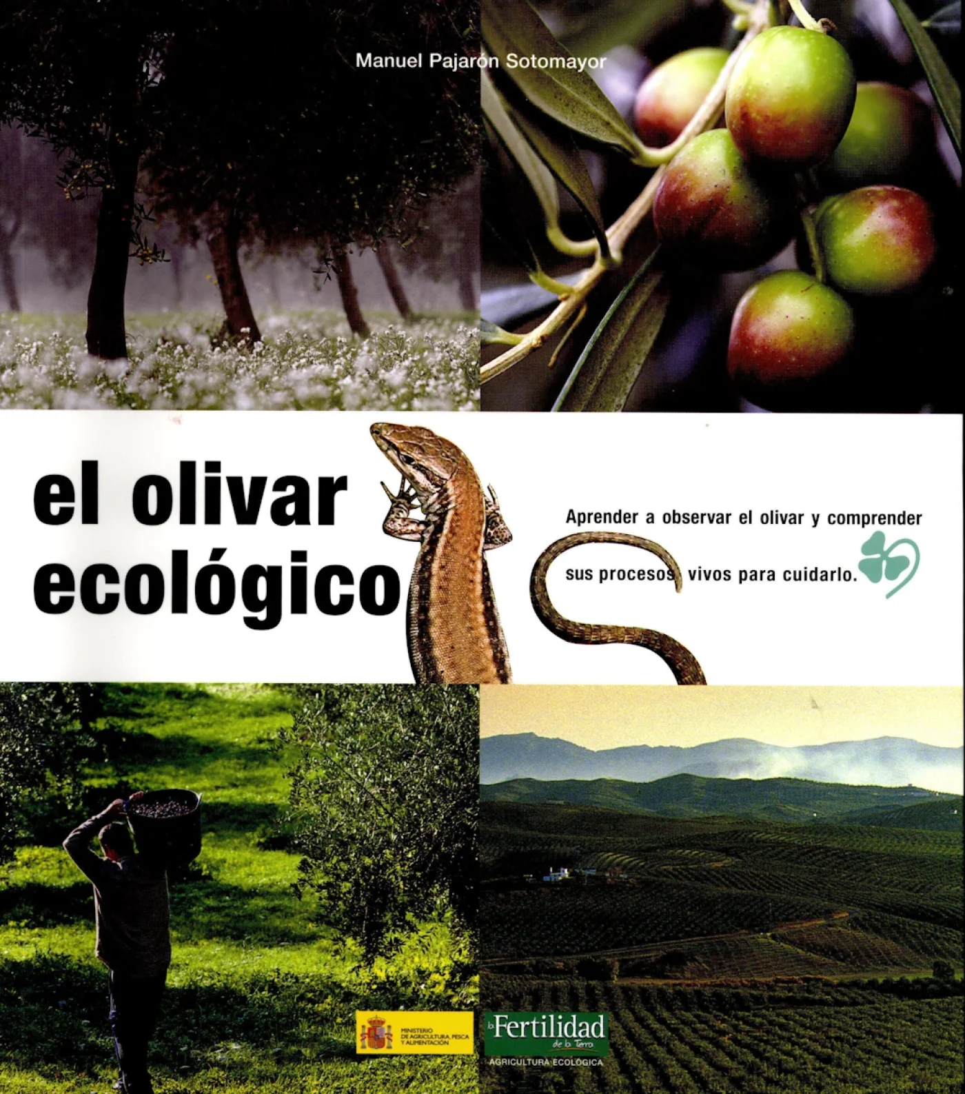 El Olivar Ecológico se dispara en España
