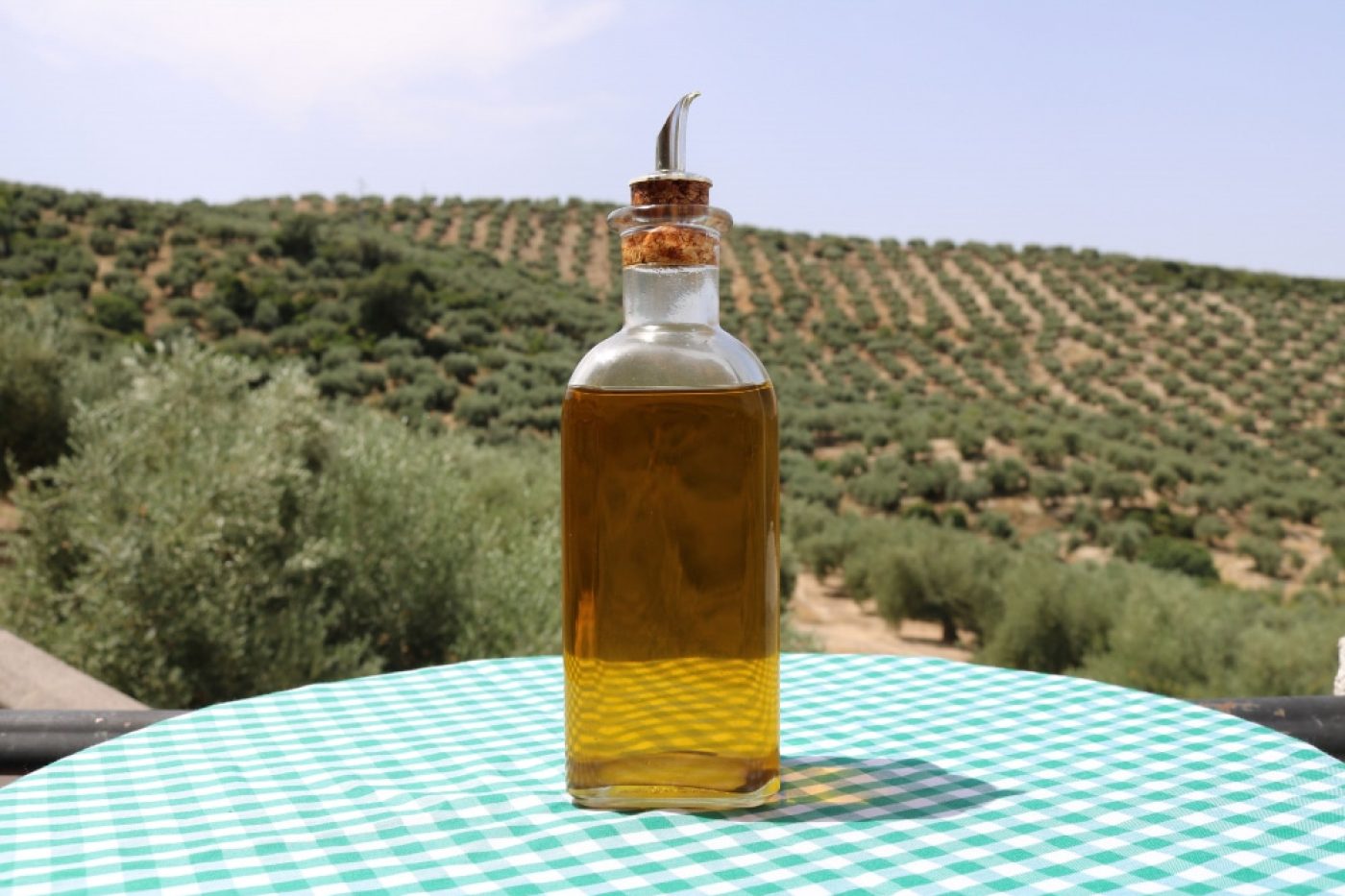 El futuro del aceite de oliva en España