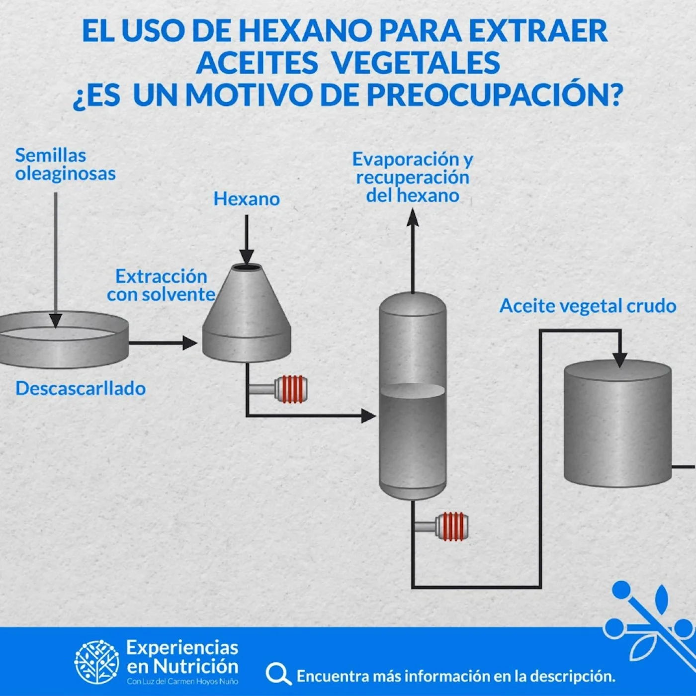 AOVE: Los riesgos del hexano en los aceites de semillas