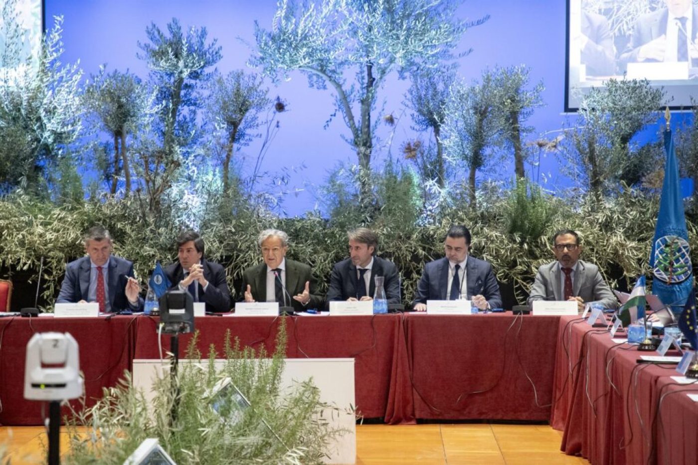 Récord mundial de producción de aceite de oliva