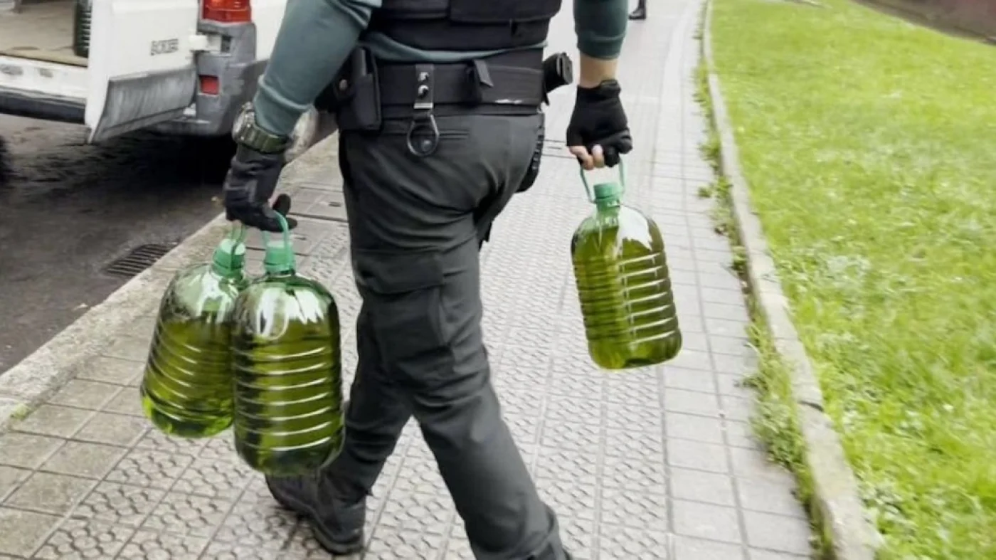 adulterar el aceite de oliva virgen extra